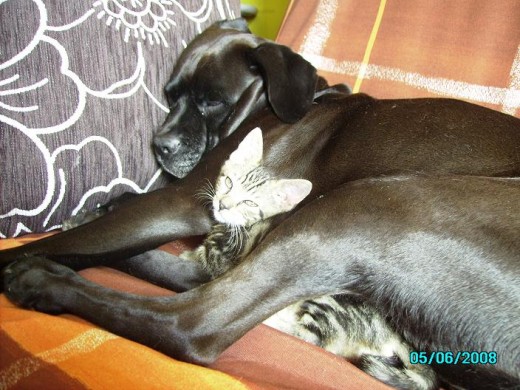 xena con gustavo